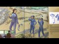 Kelp Forest Ecosystem and Survival