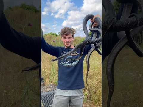 Take a look at my favorite animal finds of all time! #snake #animals