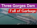 Three Gorges Dam Environmental Impact