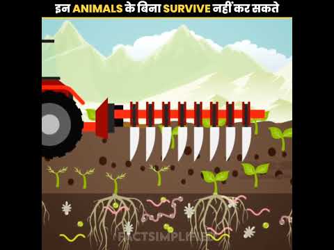 Humans cannot survive without these animals | ?? | #shorts #ytshorts
