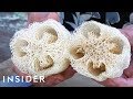 Luffa Sponge Knowledge Assessment