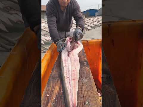 Awesome eel cutting!