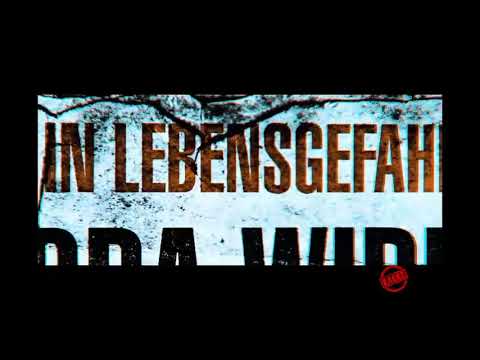 Capital Bra feat. MinerMorsel - Der Bratan bleibt der gleiche
