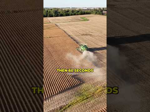 Financial Recap Farming Soybeans (Year 2) #farming #farmer