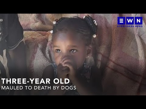 'She loved puppies’: Toddler mauled to death by dogs in Marathon informal settlement