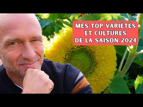 Retour sur la saison 2024 - Top cultures et variétés