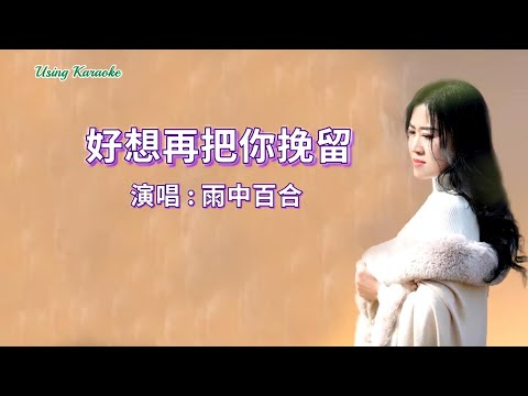 好想再把你挽留-雨中百合-伴奏 KARAOKE