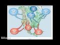 Exploring the Formation and Classification of Air Masses