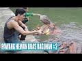 Understanding Hippos: Facts and Care