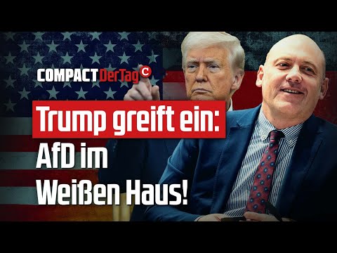 Trump greift ein: AfD im Weißen Haus!💥