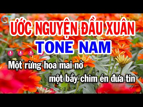 Karaoke Ước Nguyện Đầu Xuân Tone Nam ( Cm ) Nhạc Sống Mới | Karaoke Tuấn Kiệt