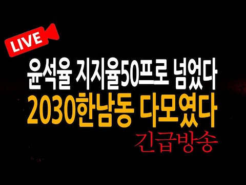 (신혜식의 라이브뉴스) 2030한남동 다모였다 / 2025.01.11