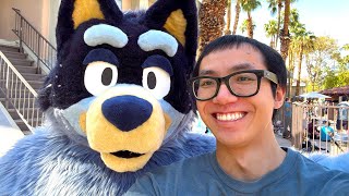 AM I A FURRY???