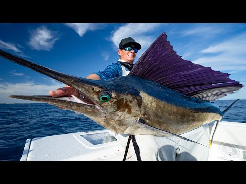 GIANT Sailfish! Dream Day Offshore! Catch Clean Cook (Sailfish)