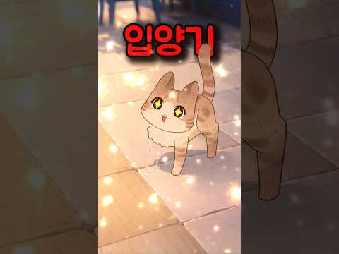 세 다리 고양이 미미의 견생역전