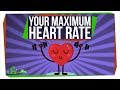 Understanding Heart Rate During Exercise