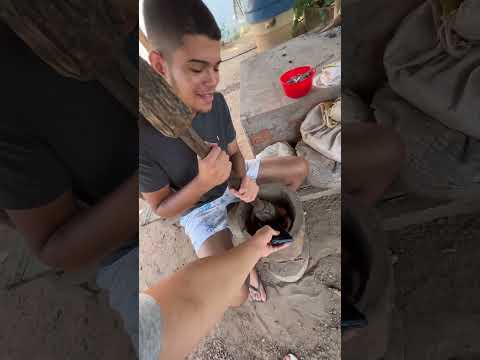 Fazendo paçoca no pilão pela primeira vez #shorts #comida