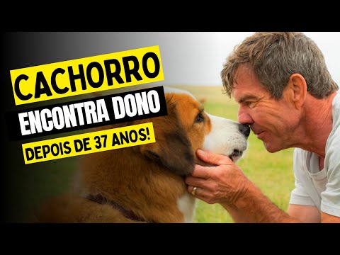 Cachorro ENCONTRA o seu PRIMEIRO DONO depois de 37 anos! - RECAP