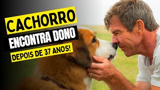 Cachorro ENCONTRA o seu PRIMEIRO DONO depois de 37 anos! - RECAP