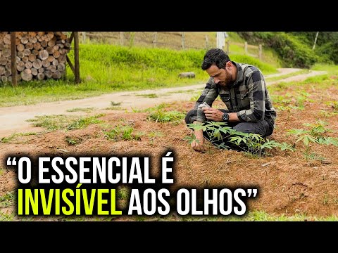 Como PLANTAR pode nos ensinar o SENTIDO DA VIDA