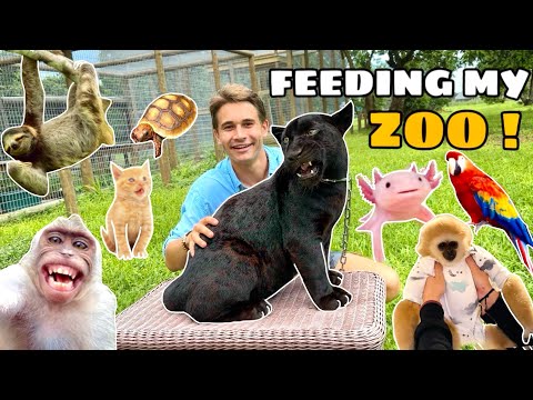 FEEDING MY EXOTIC ANIMAL FARM ! (Tour)