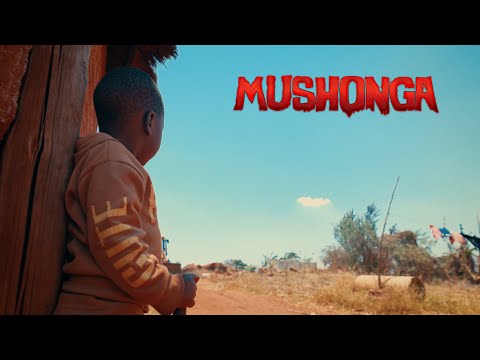 Holy Ten - Mushonga (Official Video)