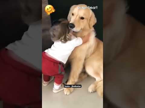 Les chiens meilleurs amis des enfants 🐶 #humour