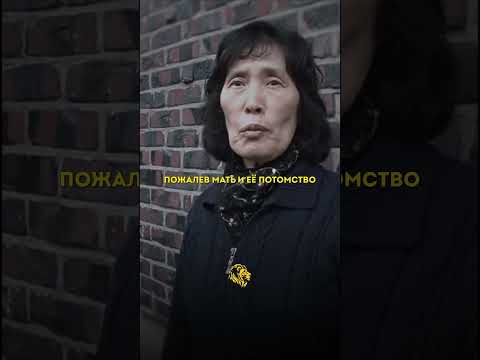Наши заботливые и преданные  пушистые друзья // МОТИВАТОР ( #мотивация #саморазвитие #успех )