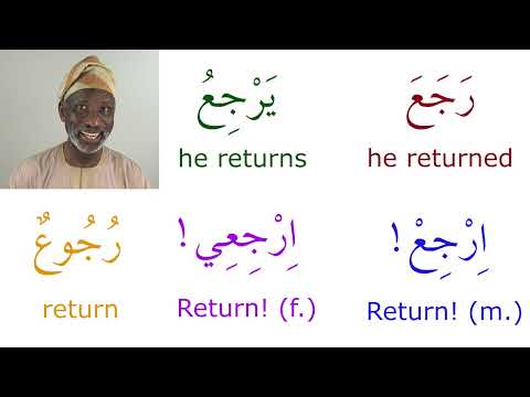 Common Verbs in Arabic with illustrative sentences, Episode 3