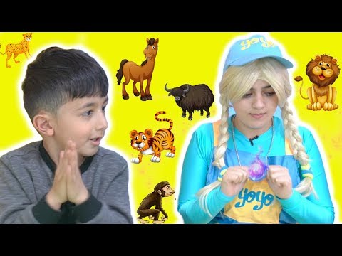 يويو ودودي ولعبة الحيوانات - yoyo And Dodi animal puzzle