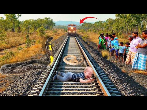 Five Head Snake and Anaconda Stops The Train To Save Baby And Escapes In Train Simulator |