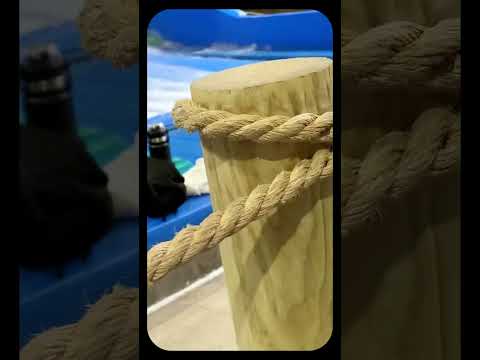Girl Fails Multiple Times On Waterpark Surf Machine!