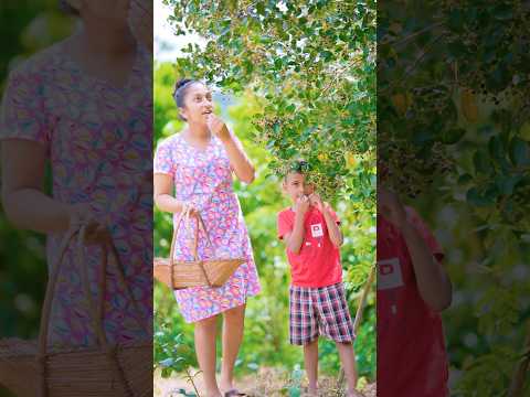 Try This Delicious Indian blackberry juice 🍇 මාදං ජූස් බිල තියෙද? #shorts