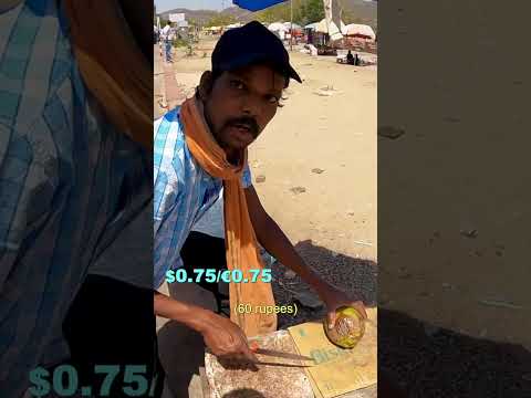 Luke Damant drinks $0.40 coconut on hot day in Jaipur, India 🇮🇳 #shorts