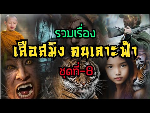 รวมเรื่องเสือสมิงคนเลาะฟ้าชุดที่8