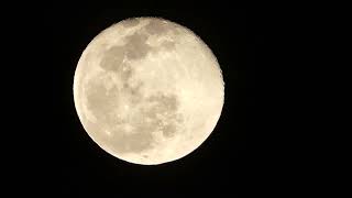 42 SECONDS WITH THE MOON - US 20220217