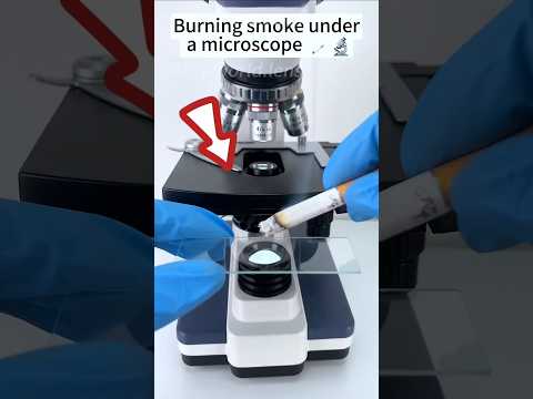 Ada apa itu didalam rokok!😱 #shorts #rokok #microscope