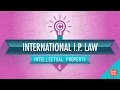 International Intellectual Property Rights