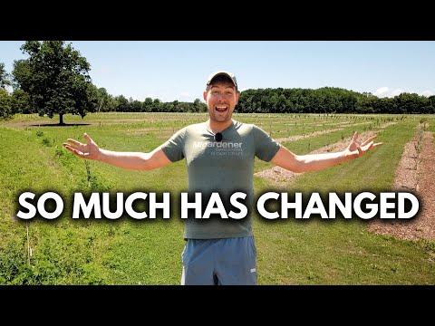 The SHOCKING 6 Month Farm Transformation
