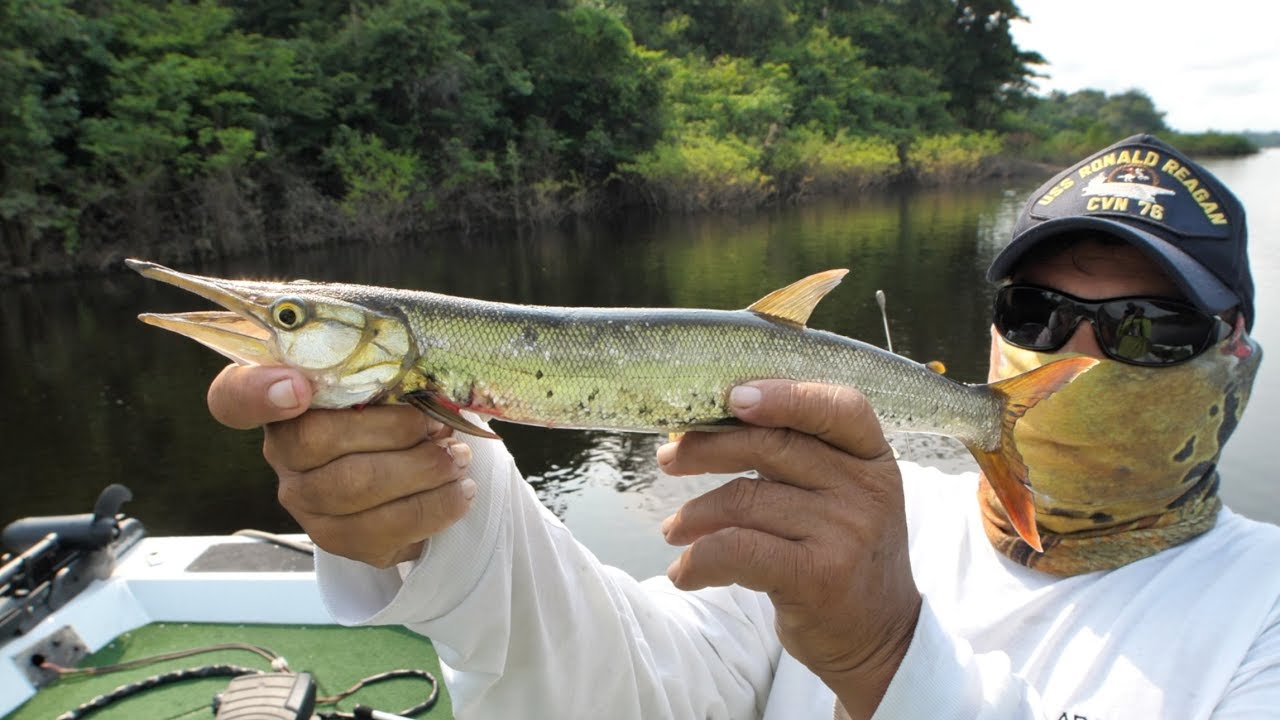 Catching New Fish Species Fishing Peacock Bass in the Amazon pt 5