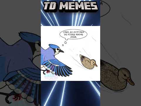 ANIMAIS ENGRAÇADOS, PATETAS E FOFINHOS #22 | POLVOS SÃO ALIENS 😂