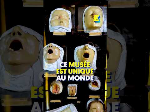 Ce musée est unique au monde ! #shorts