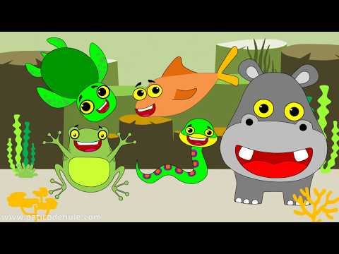 Bebé tiburón (versión cocodrilo) - Baby Shark - Canción Infantil para bailar