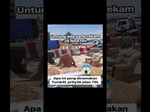 Koq Seperti Orang Yaa