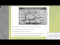 Reactions to the New Deal: EOC Review Insights