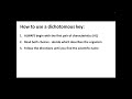 Exploring Dichotomous Keys