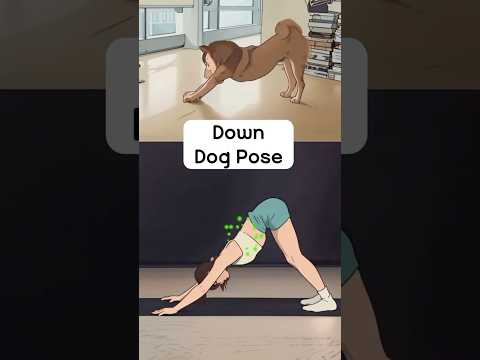 Home yoga stretch full body #homeyoga #fullbodystretch #yogastretch #downdog #써니요가