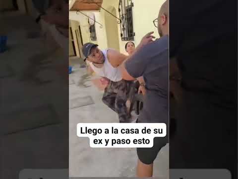 el hijo de dominga 03 talento dominicano todo por celo pasa deja tu comentario