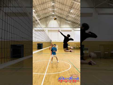 低身長なら飛べ！ #バレーボール #バレーボール男子 #ジャンプ力アップ