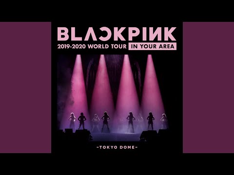 Really (Japan Version / BLACKPINK 2019-2020 WORLD TOUR IN YOUR AREA -TOKYO DOME)